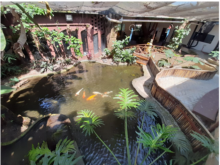 INTERAÇÃO LIVRE: ESPELHO D´ÁGUA