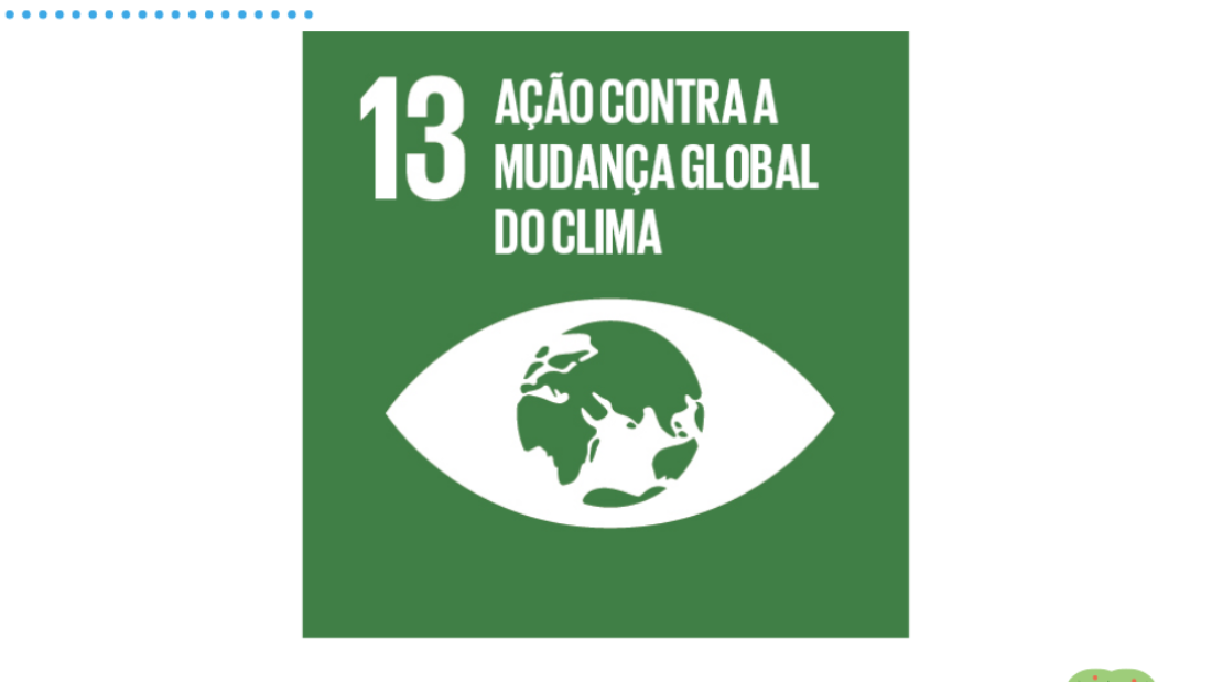 ODS 13 — Ação Contra a Mudança Global do Clima
