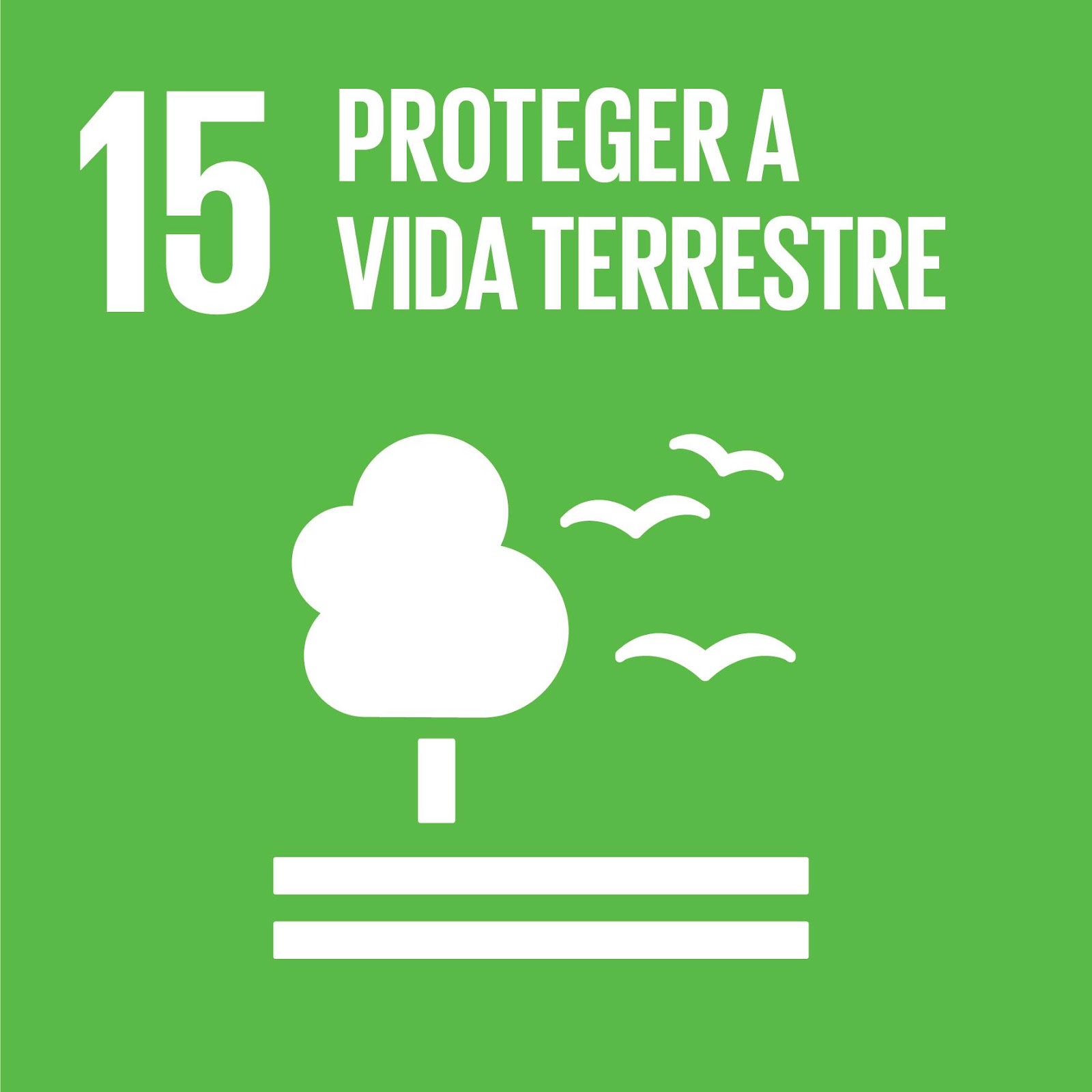 ODS 15 — Vida Terrestre